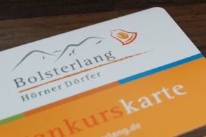 Bolsterlang