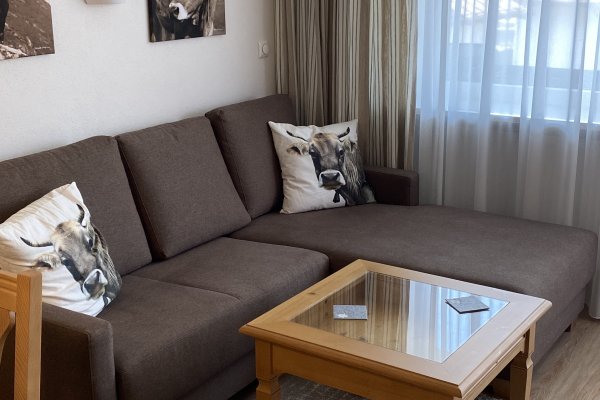 Montanahaus C12 Wohnraum living room 1