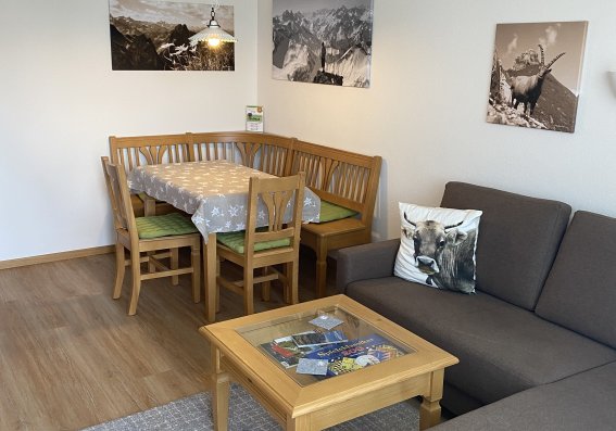 Montanahaus C12 Wohnraum living room 3