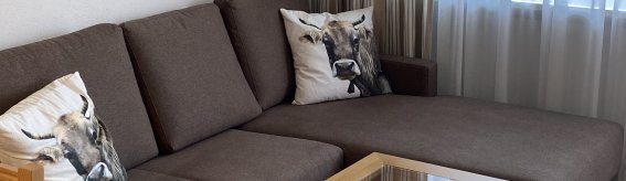 Montanahaus C12 Wohnraum Sofa livingroom couch