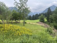 Idyllischer (Natur-)Garten (Ferienhaus)