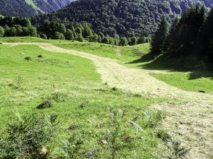 Schneileitung begrünt