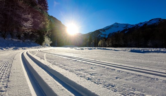Loipe bei Sonnenaufgang