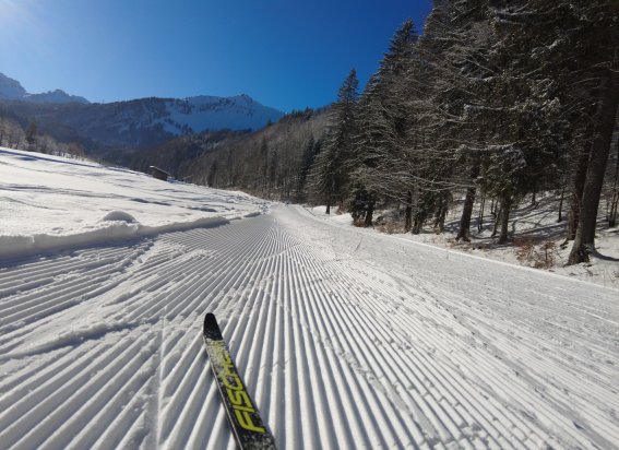 Skating an der Halde