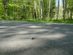 DSC00002