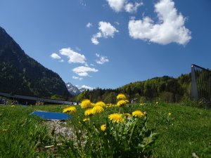 DSC00061