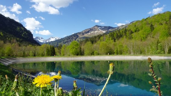 Schneiteich