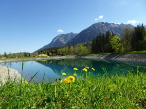 Schneiteich im Frühling