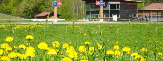 Blumen im Nordic Zentrum