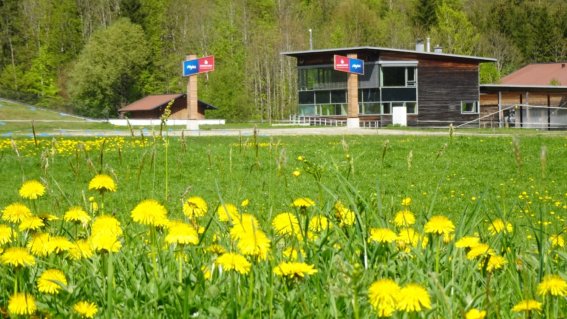 Blumen im Nordic Zentrum