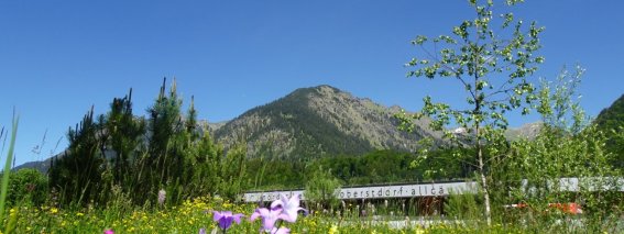 Natur im Nordic Zentrum