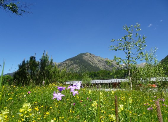 Natur im Nordic Zentrum