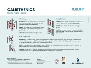 Calisthenics