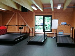 Laufbänder & Skating-Laufband im Stützpunkt