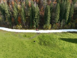 Eine grüne Wiese mit einer schneebedeckten Fläche und hohen Bäumen in der Nähe. Die Szene zeigt die Ruhe der Natur.