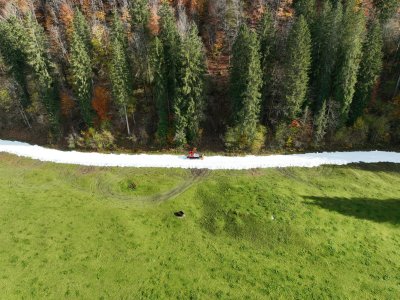 Eine grüne Wiese mit einer schneebedeckten Fläche und hohen Bäumen in der Nähe. Die Szene zeigt die Ruhe der Natur.