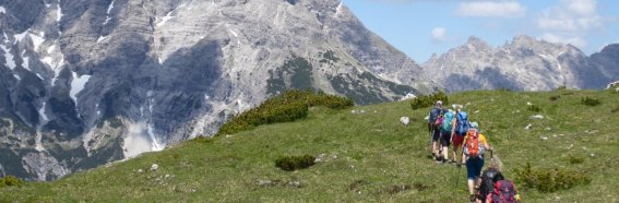 Auf dem Grat zum Kranzberg, im Hintergrund der Hochvogel