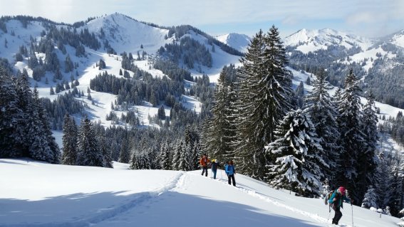 Schneeschuhwandern im Allgäu