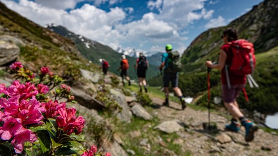 Wanderungen mit Gepäcktransport