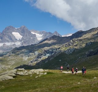Blick auf die Gletscher der Bernina Gruppe