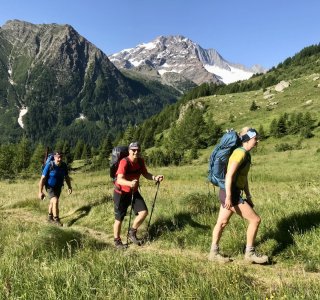 Aufstieg zur Alpe Fora