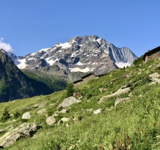 Die Alpe Fora