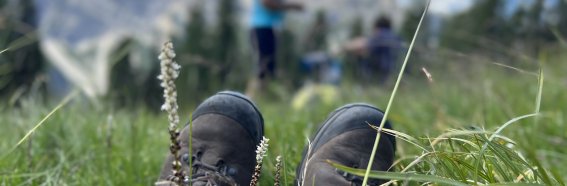 Bergwanderschuhe für Alpenüberquerung
