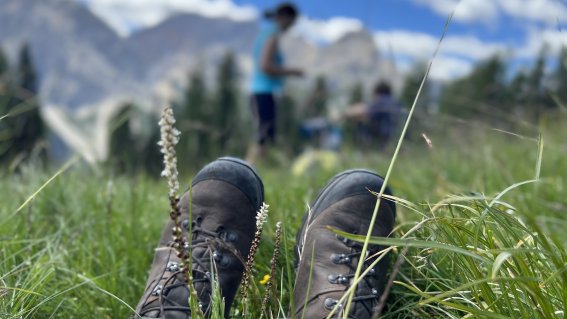 Bergwanderschuhe für Alpenüberquerung