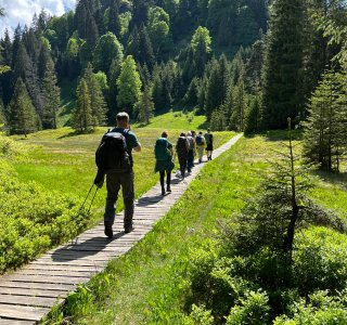 Hühnermoos, Söllereck | © OASE alpin GmbH