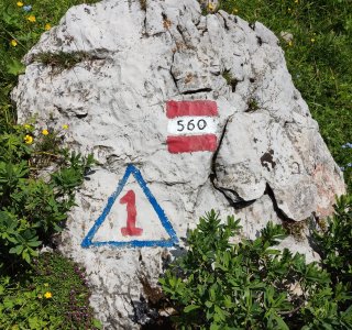 Der Dolomiten Höhenweg Nr. 1