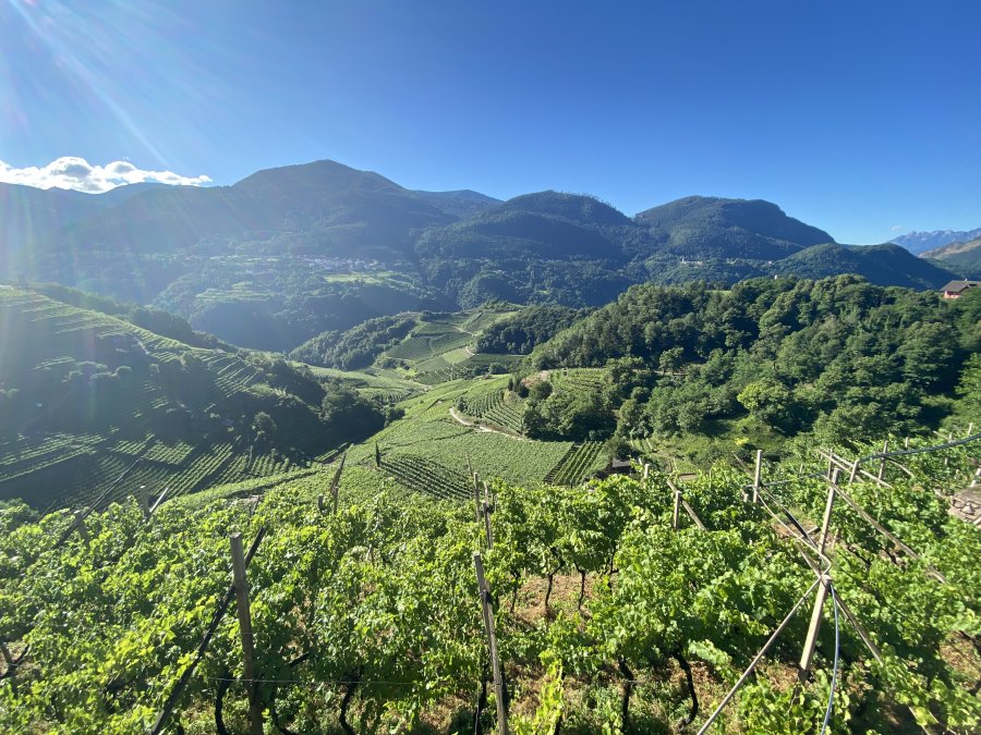 Eine malerische Aussicht über das grüne Tal von Bozen nach Trient ist zu sehen.