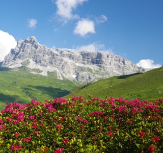 Sulzfluh