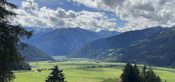 Blick vom Vinschgauer Höhenweg auf die Malser Heide