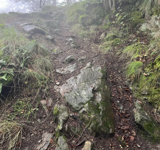 Kurze, steile Abschnitte am Vinschgauer Höhenweg erfordern Trittsicherheit