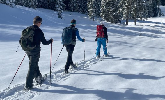 Abwechslungsreich durch Winterwald und verschneite Wiesen