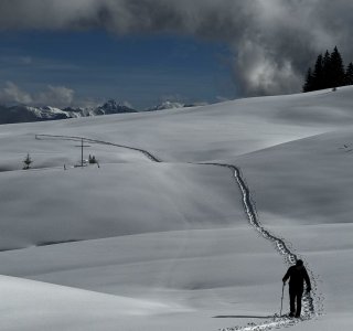 Schneeschuhtouren - Auf Trappers Fährten