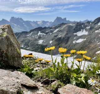 Silvretta | © OASE alpin GmbH