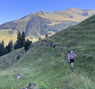 Über Almwiesen geht es Richtung Jägglisch Horn