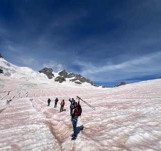 Am Jungfraufirn