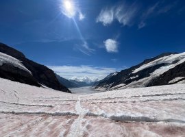 Panoramablick Jungfraujoch II