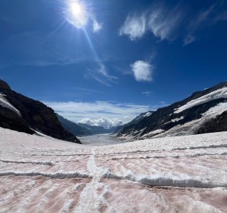 Panoramablick Jungfraujoch II