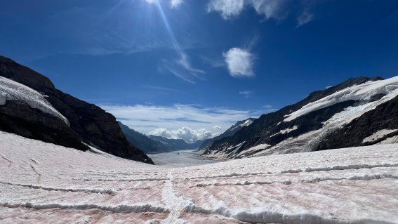 Panoramablick Jungfraujoch II