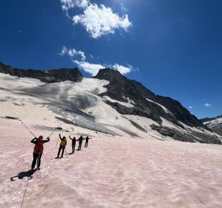 Auf dem Studergletscher