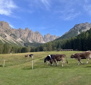 Abendstimmung am Rifugio Padova