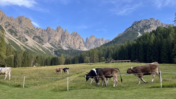 Abendstimmung am Rifugio Padova