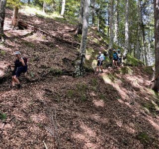 Durch den Wald geht es weiter zum Rifugo Giàf