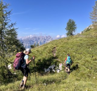 Über Almwiesen geht es Forcella Tiarfin