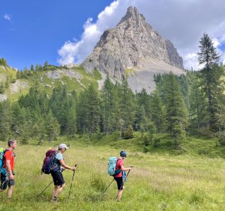 Über Almwiesen steigen wir weiter Richtung Hütte