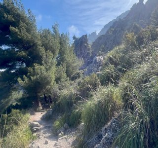 Auf dem Weg nach Cala Tuent