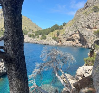 Die Bucht Sa Calobra